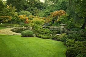 carpet cleaning Holland Park